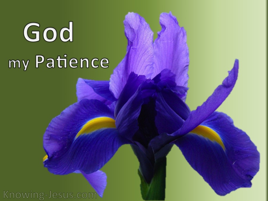 God, My Patience (devotional)03-02 (purple)